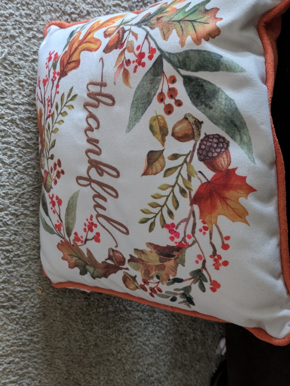 Thankful Autumn Floral Decorative Pillow - Orange Accent